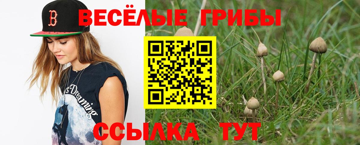 Псилоцибиновые грибы GOLDEN TEACHER  Вход с VPN  Кисловодск 